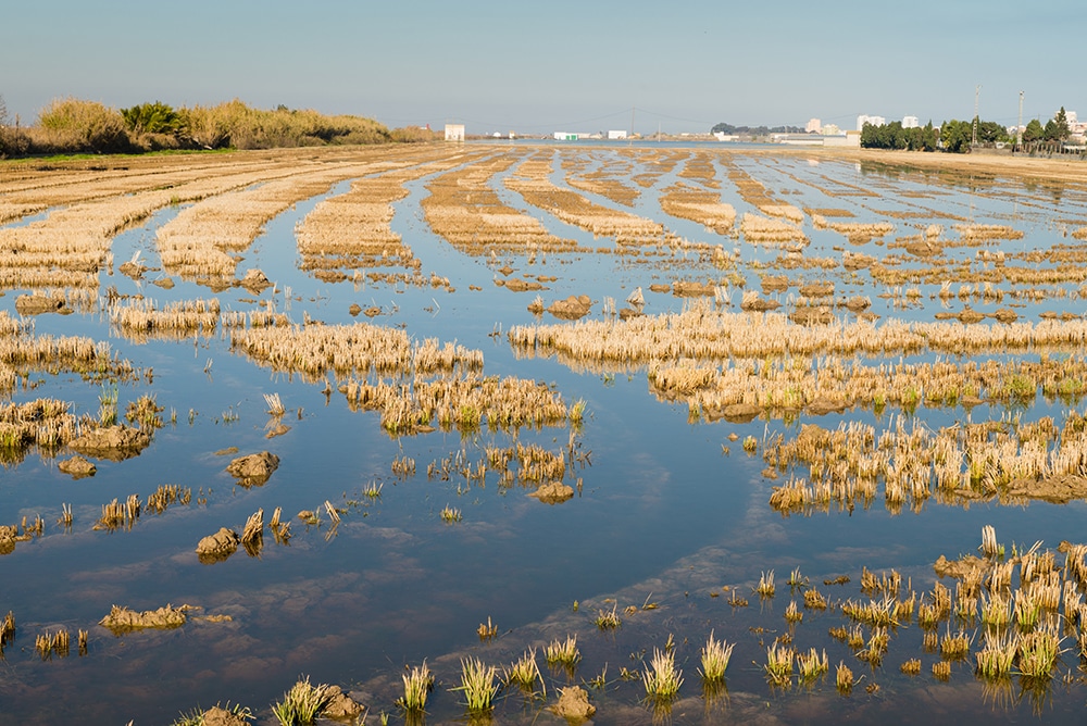 Inondations : questions-réponses sur l’assurance de votre exploitation agricole en cas de catastrophe naturelle
