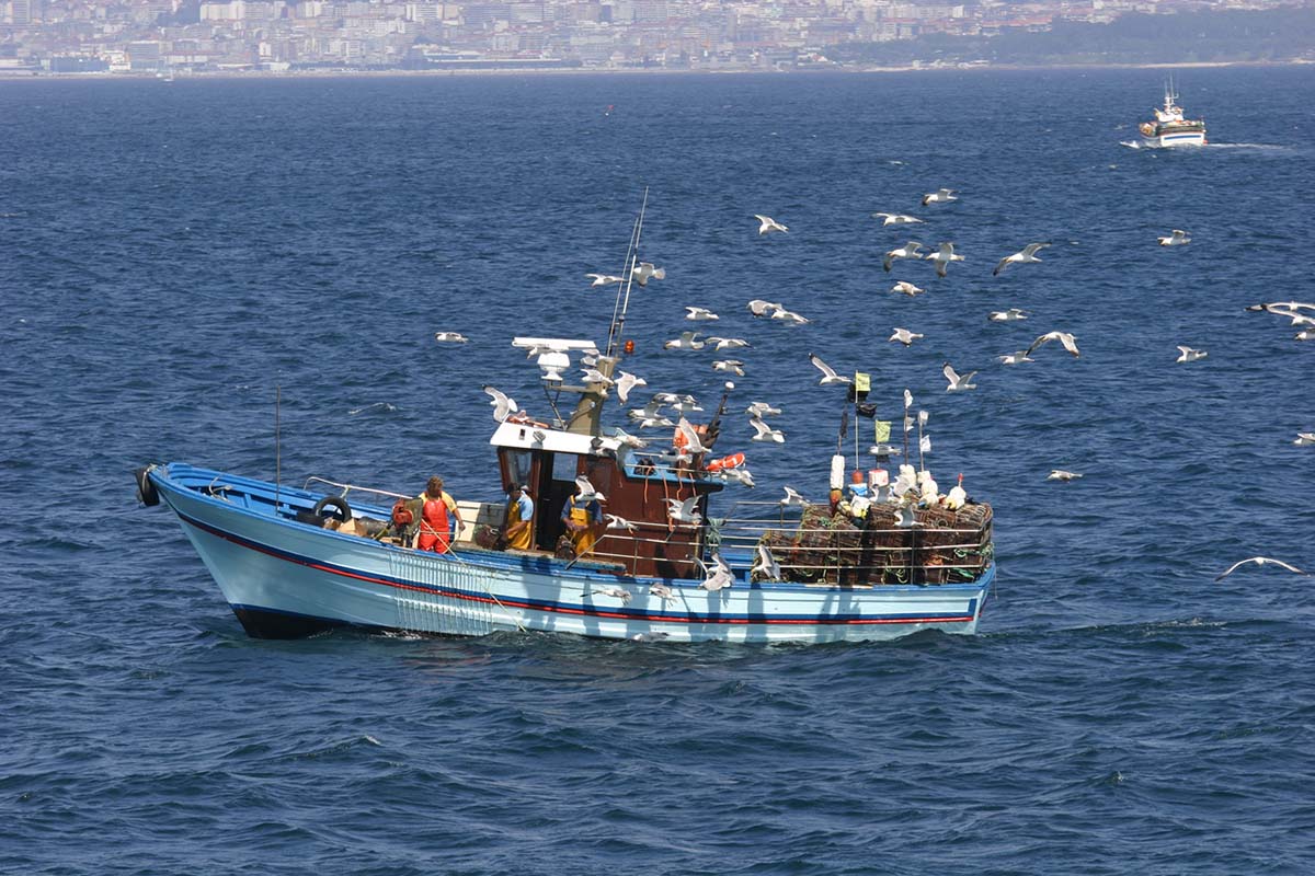 Assurance maritime sur corps de navires de pêche