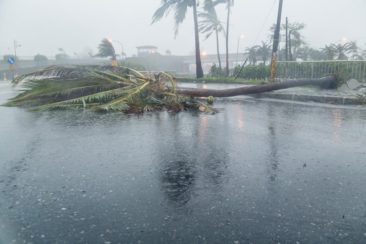 Cyclone : l’indemnisation des dommages
