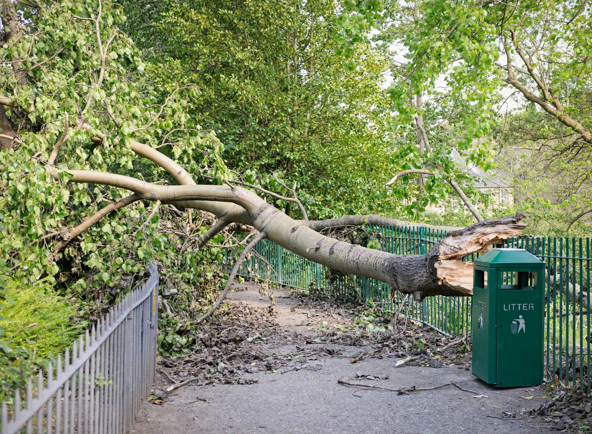 Tempête : questions-réponses sur votre assurance