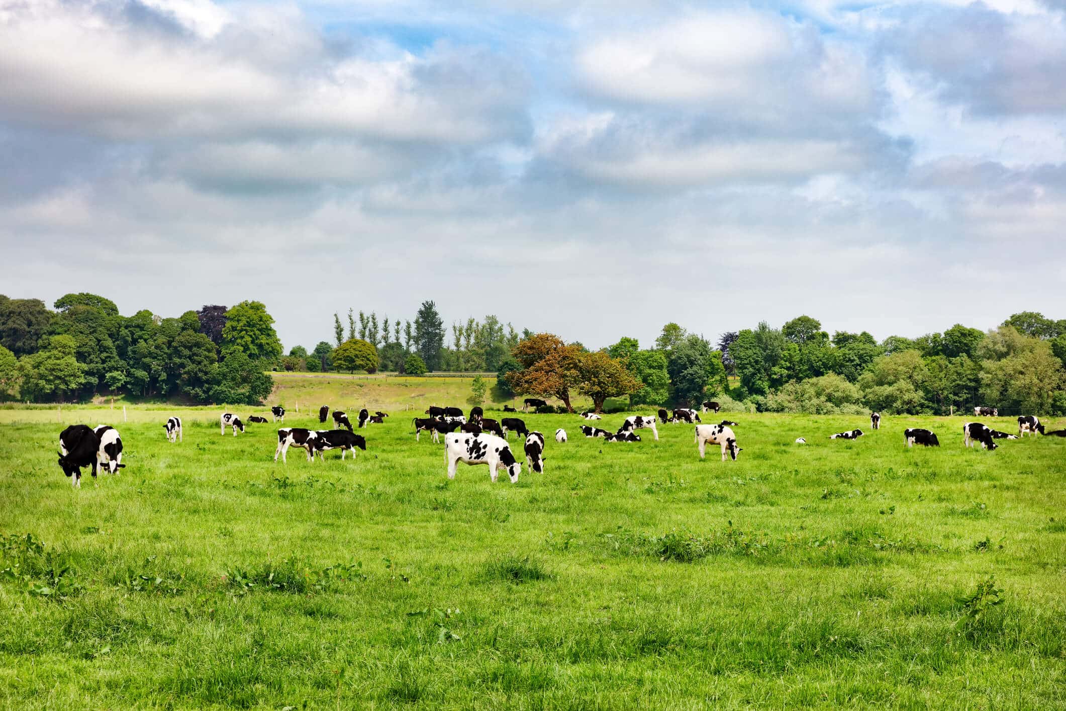 Assurance paramétrique : “Les assureurs sont mobilisés aux côtés des syndicats professionnels agricoles, chambres d’agriculture, réassureurs et pouvoirs publics pour les accompagner” – Tribune de Florence Lustman