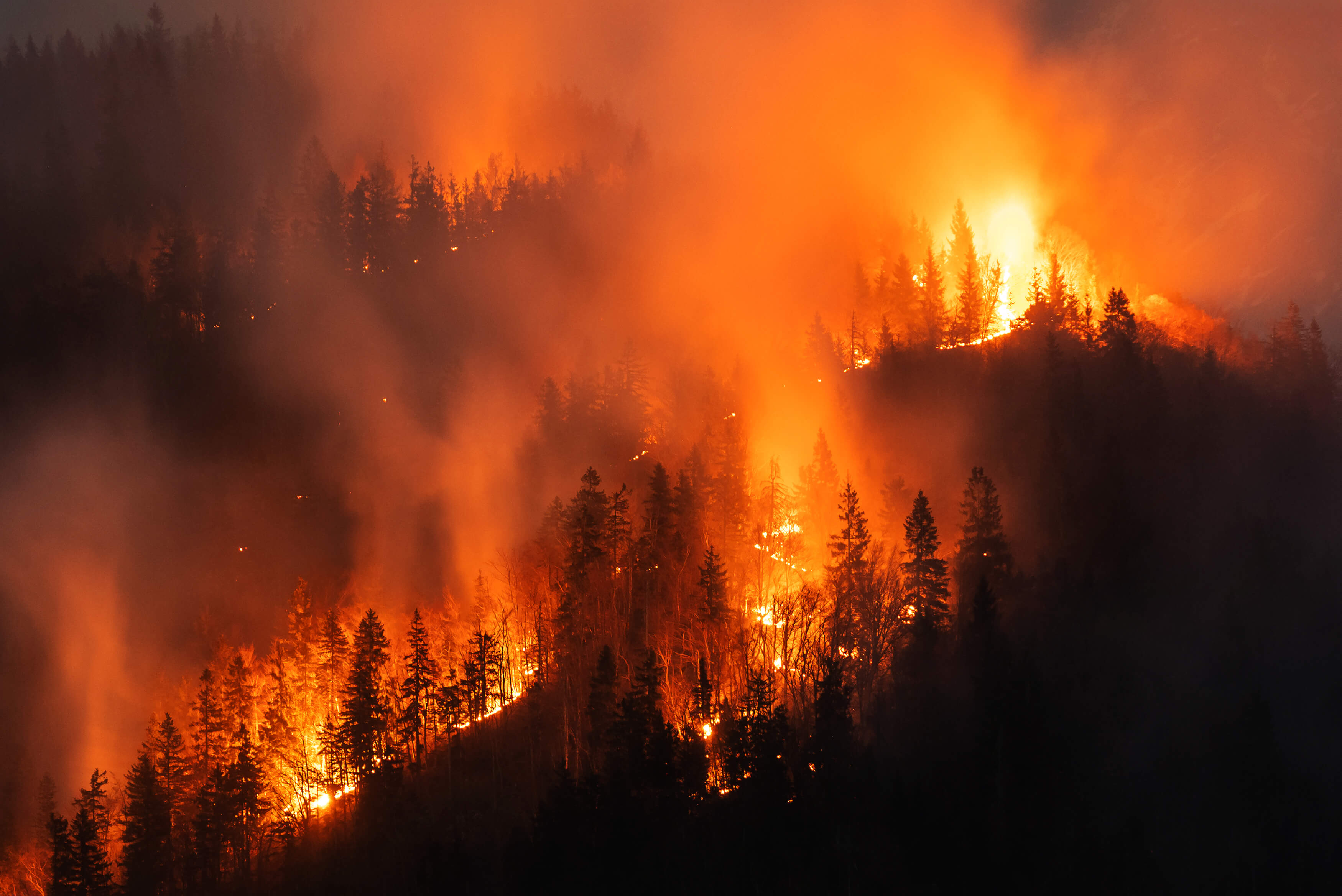 L&rsquo;assurance en cas d&rsquo;incendie