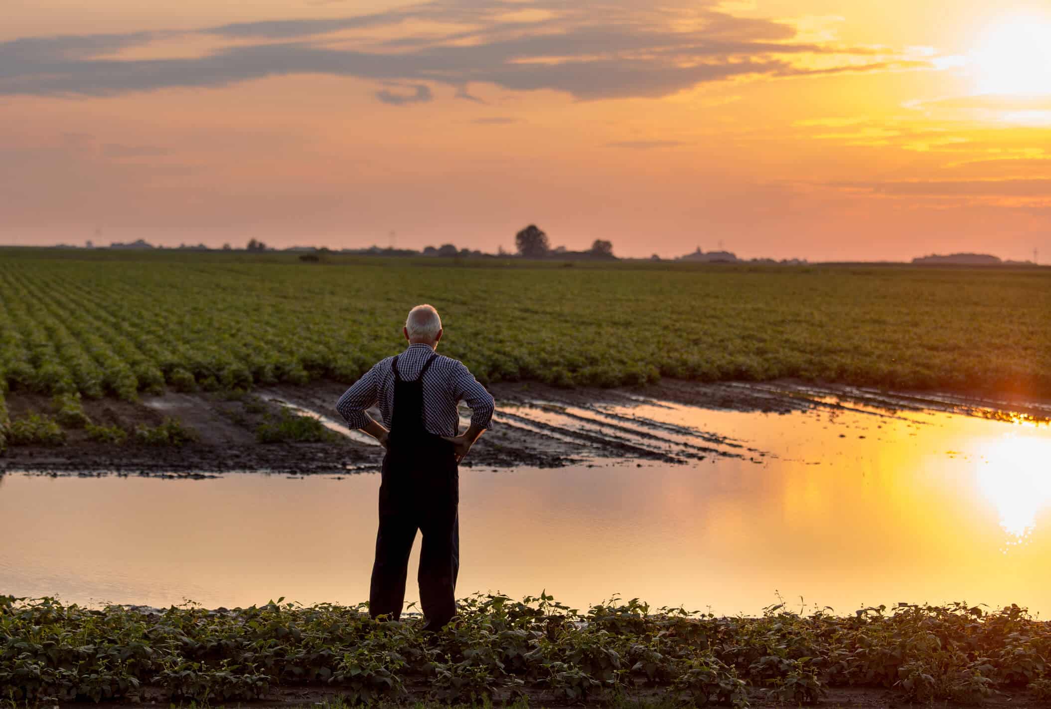 Professionnels | Inondations : questions-réponses sur votre assurance en cas de catastrophe naturelle